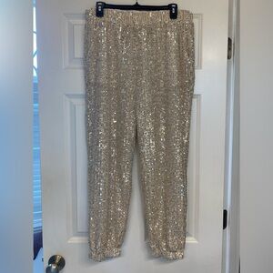 Loft Champagne Sequin Jogger
